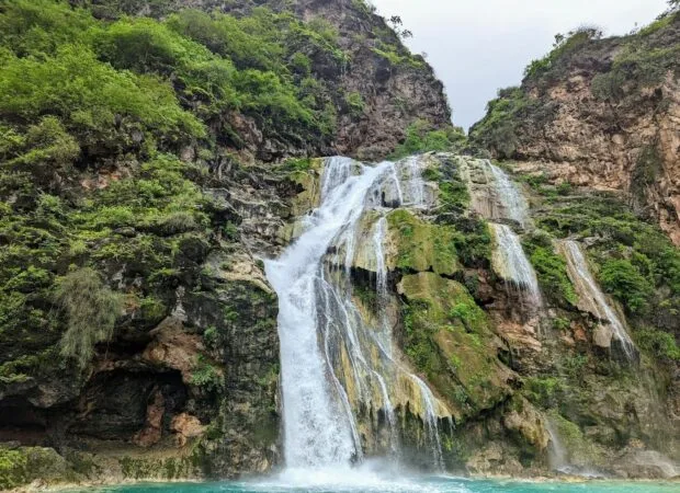 Dhofar Spring Water