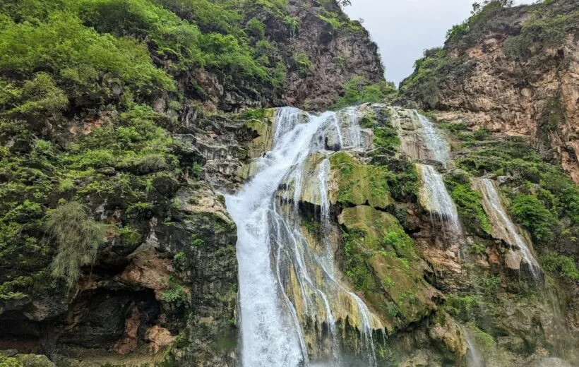 Dhofar Spring Water