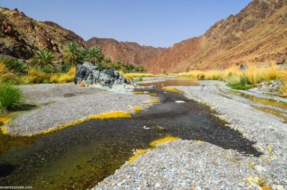 Al Batinah South