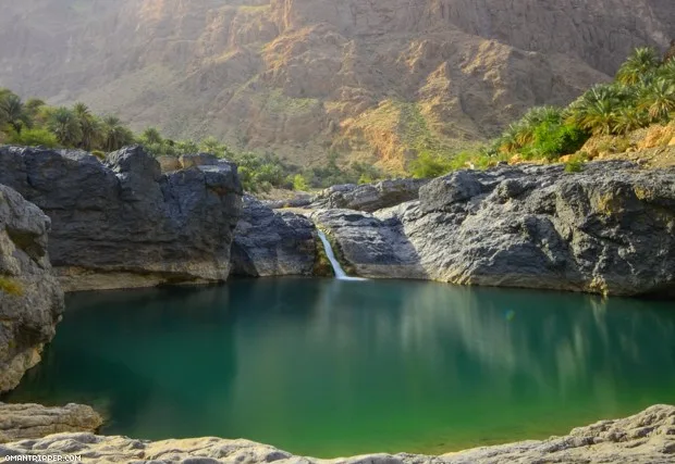 The Wadi