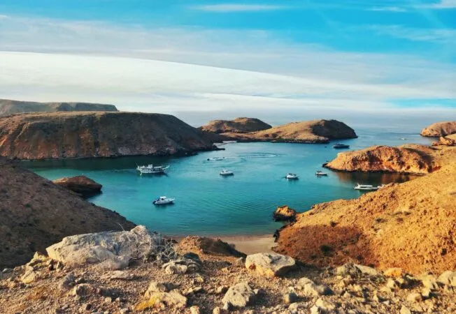 Dimaniyat Island Half Day Cruise