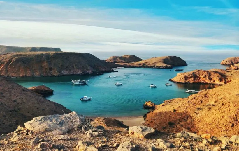 Dimaniyat Island Half Day Cruise (Private basis)
