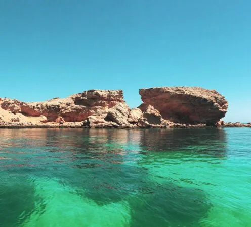 Dimaniyat Island Half Day Cruise