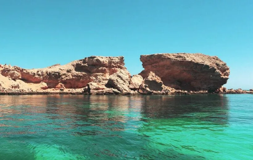Dimaniyat Island Half Day Cruise (Sharing basis)